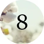 en åtta och en bomullsplanta