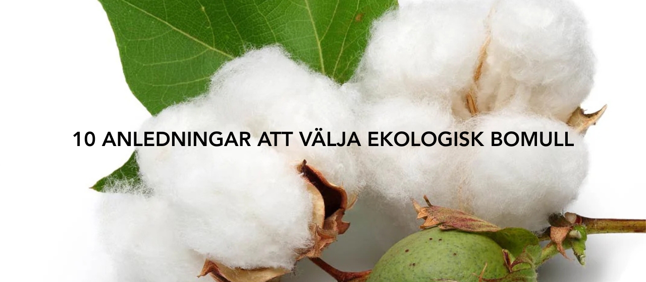 10 Anledningar att Välja Strumpor i Ekologisk Bomull från Sockteam