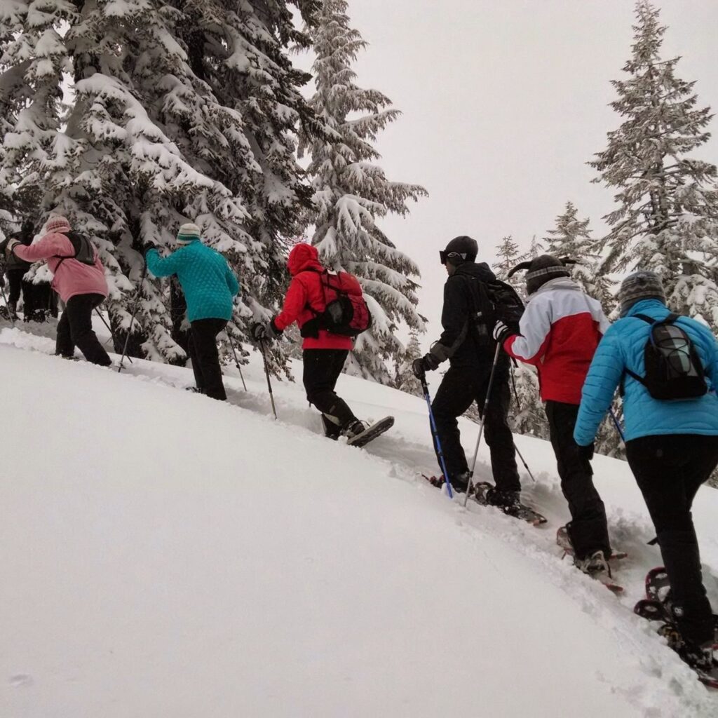 Grupp elever vandrar i fjällen, omgivna av dramatisk natur