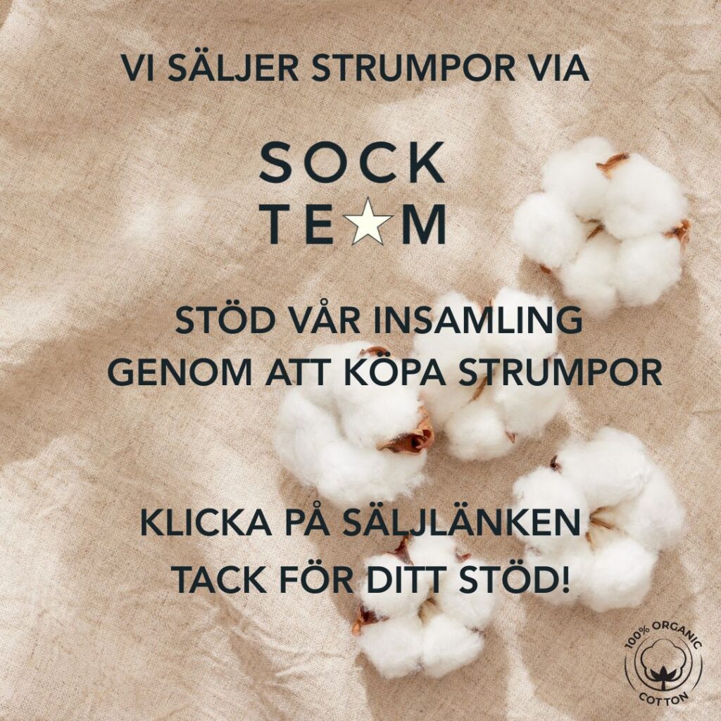 bomullsblomma på en linneduk